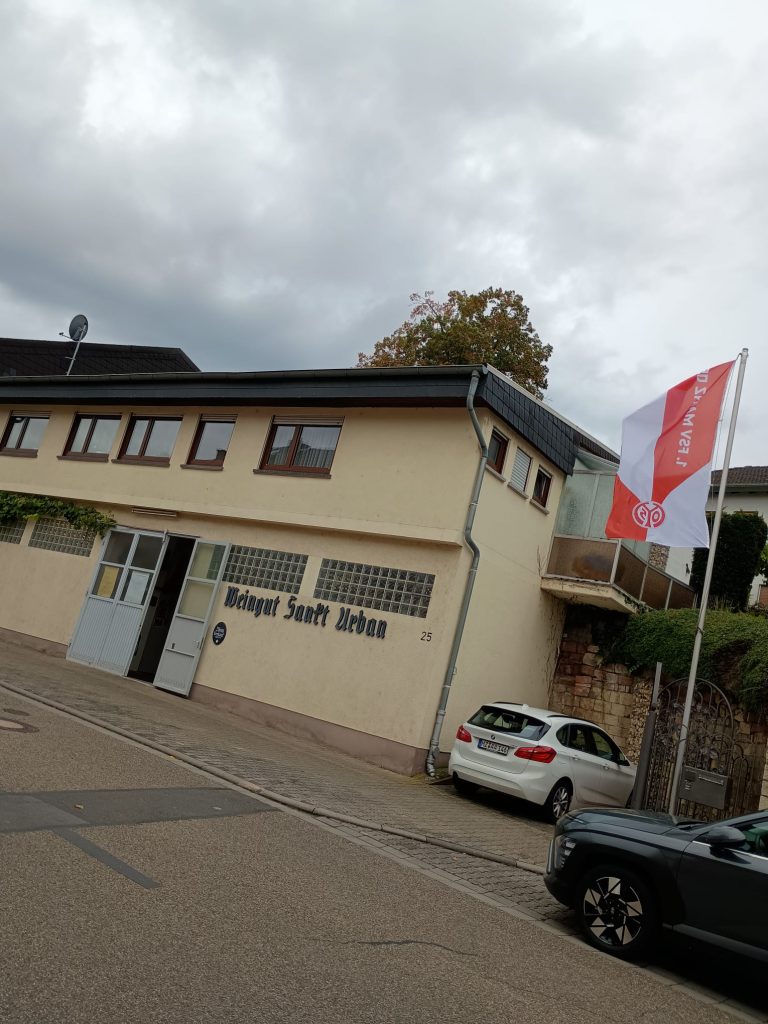 Mainz 05